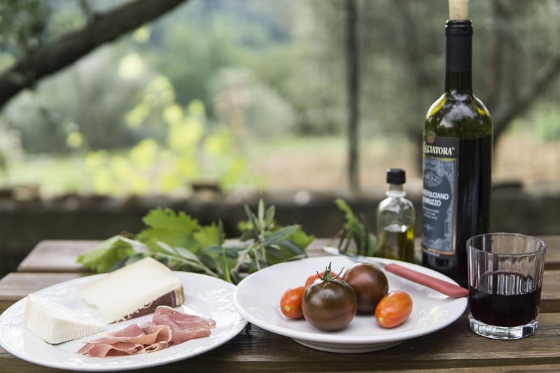 Picnic in the Woods